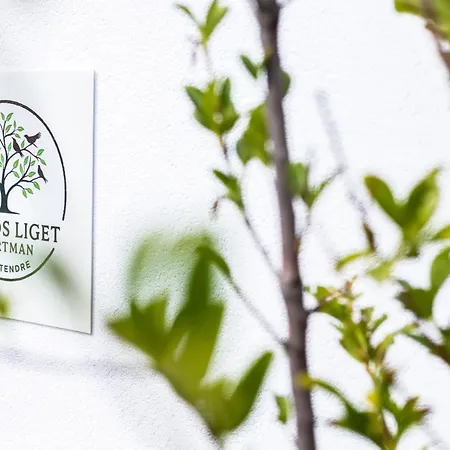 Bükkös Liget Apartman *